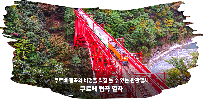 쿠로베 협곡 열차