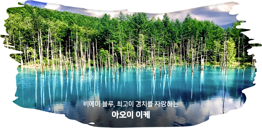 아오이이케