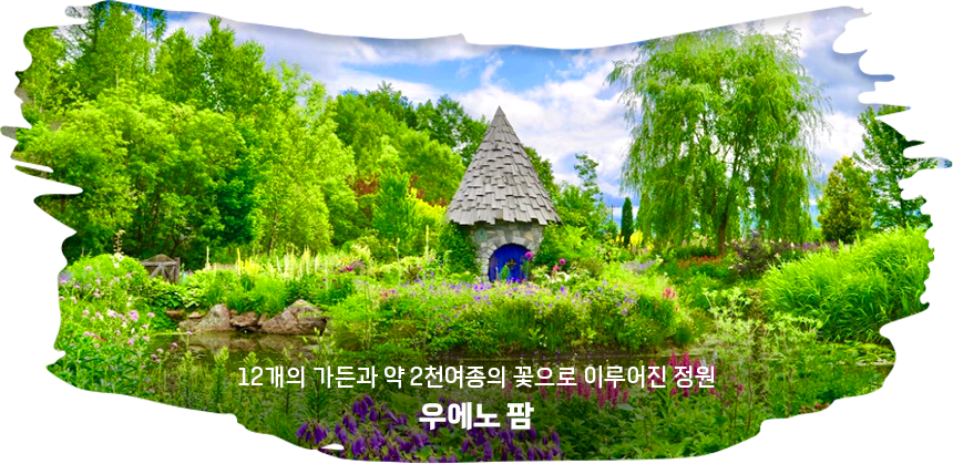 우에노팜