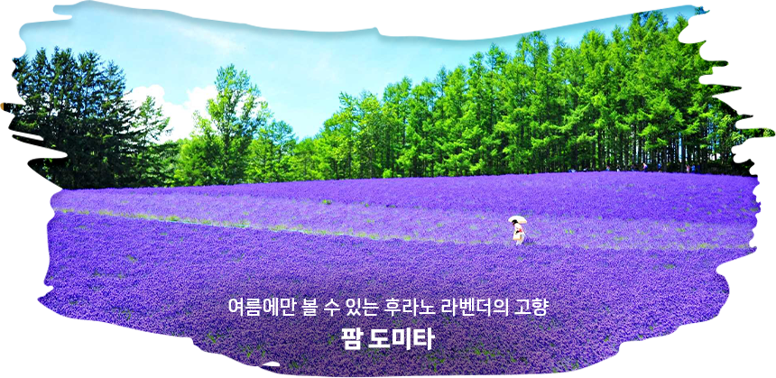 팜도미타