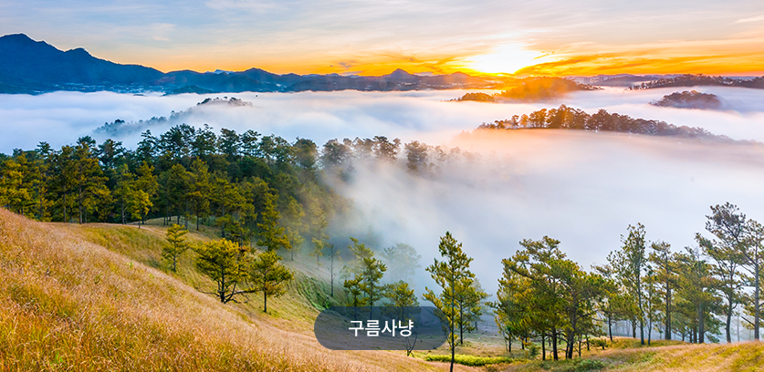 구름사냥